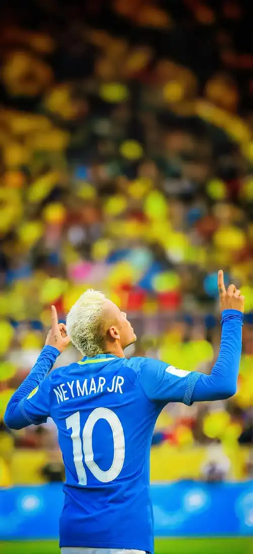 未来展望 未来展望